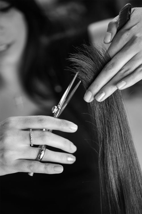 Professional stylist cutting a woman’s hair